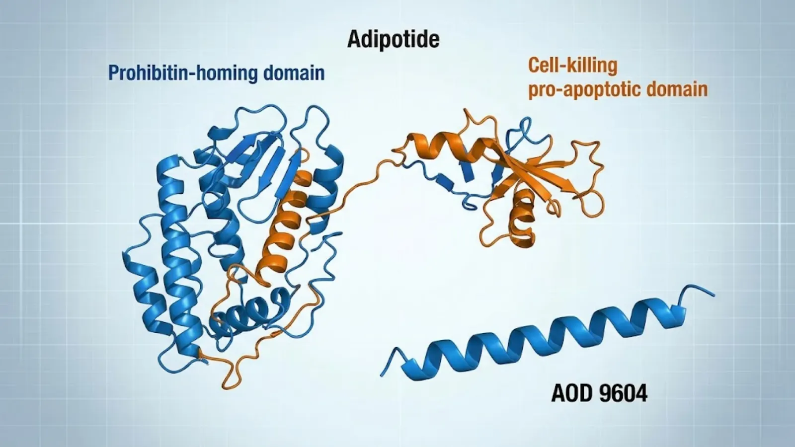 Advanced Adipose Targeting Peptide Comparison